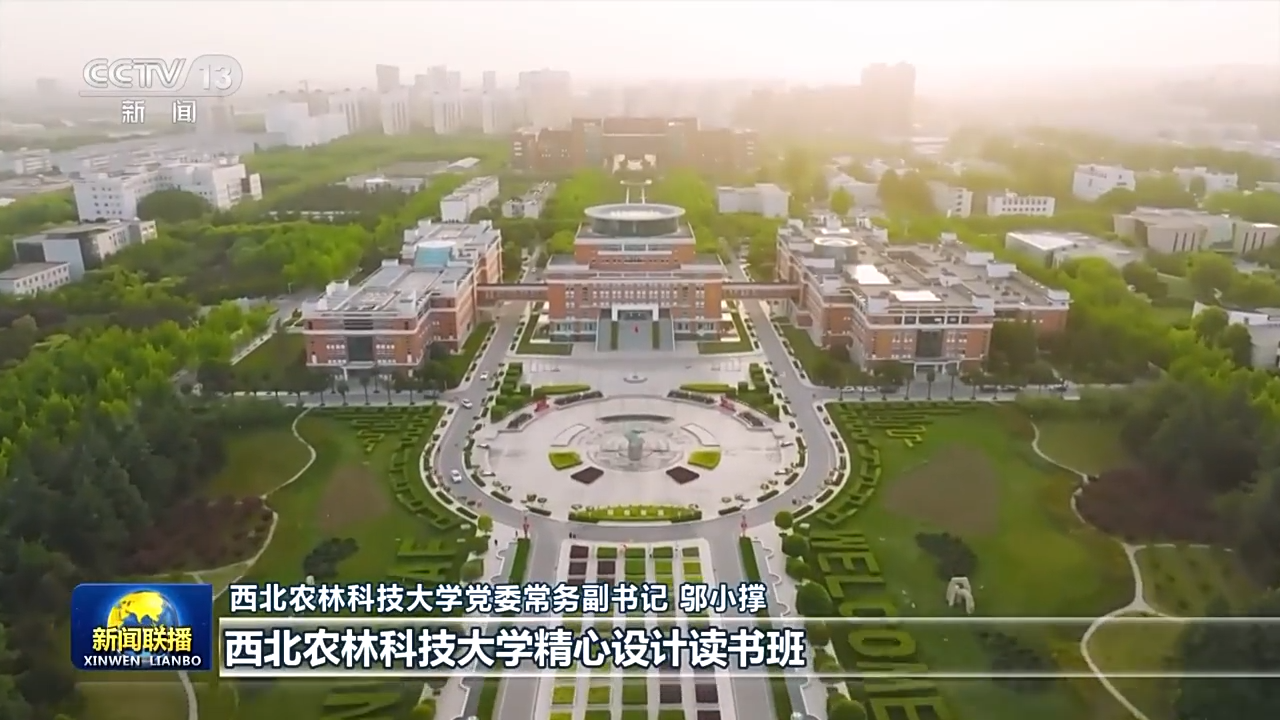 3d黄色动漫